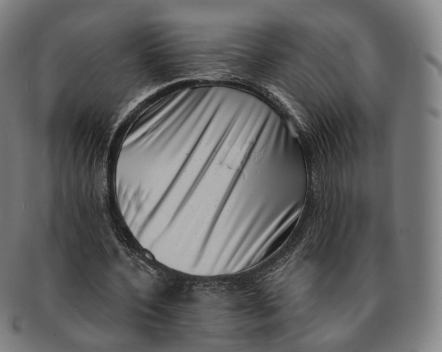 X0000091000532200708241452