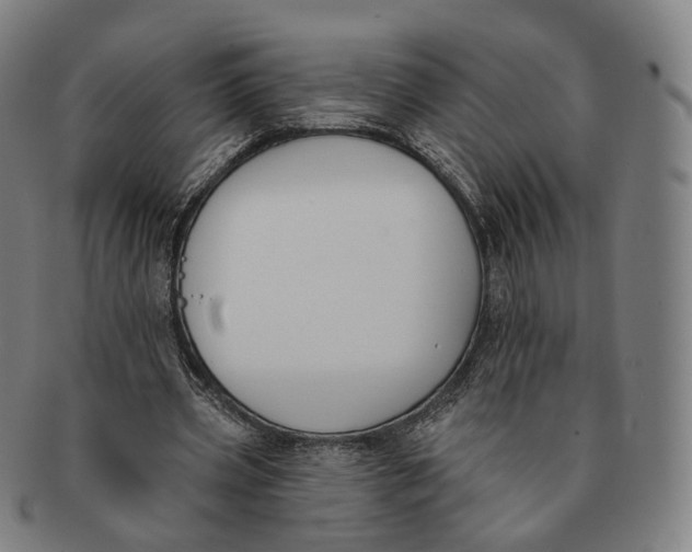 X0000091000533200708241452