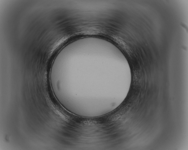 X0000091000535200708241452