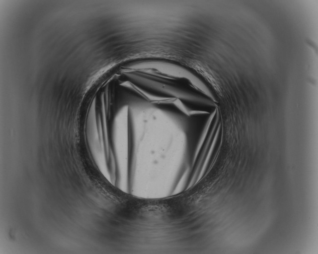 X0000091000536200708241452