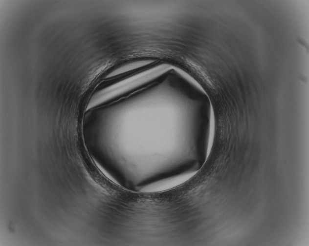 X0000091000538200708241452