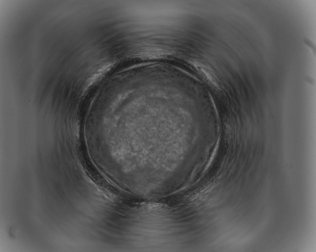 X0000091000539200708241452