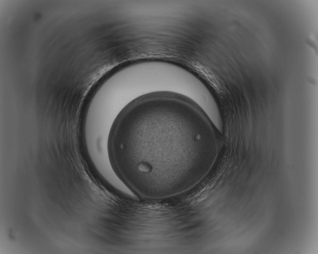 X0000091000540200708241452