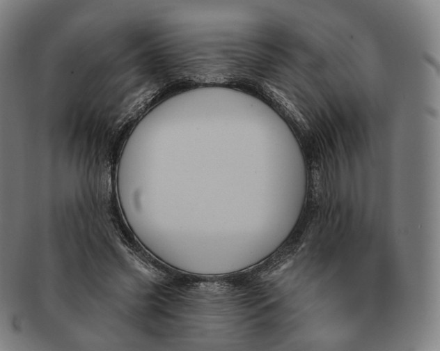 X0000091000541200708241452