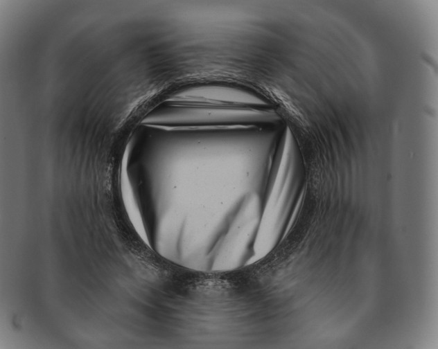 X0000091000543200708241452