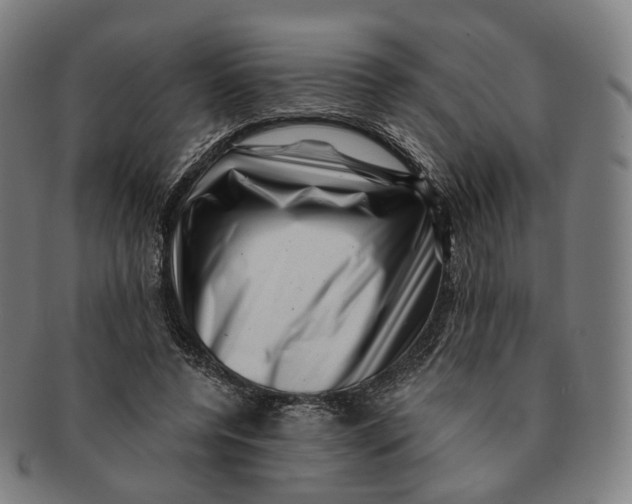 X0000091000544200708241452