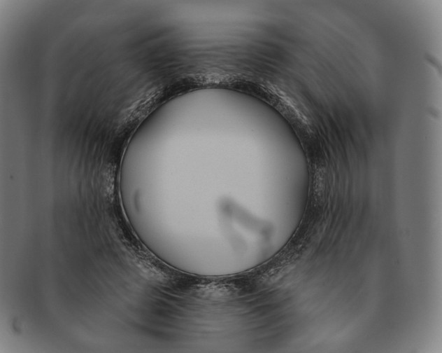 X0000091000545200708241452