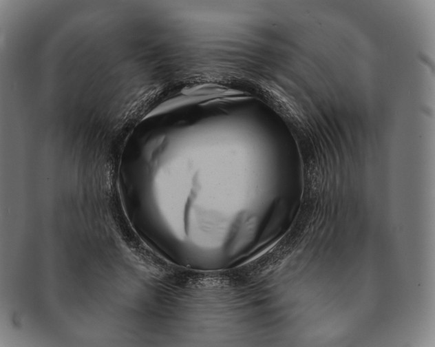 X0000091000546200708241452