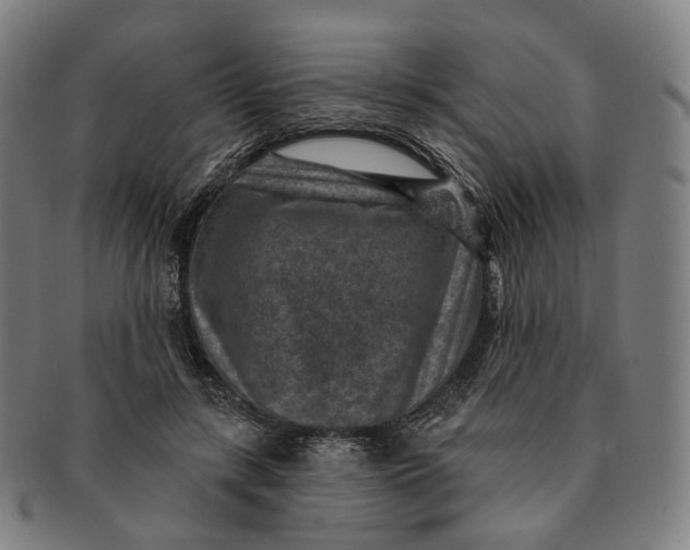 X0000091000547200708241452