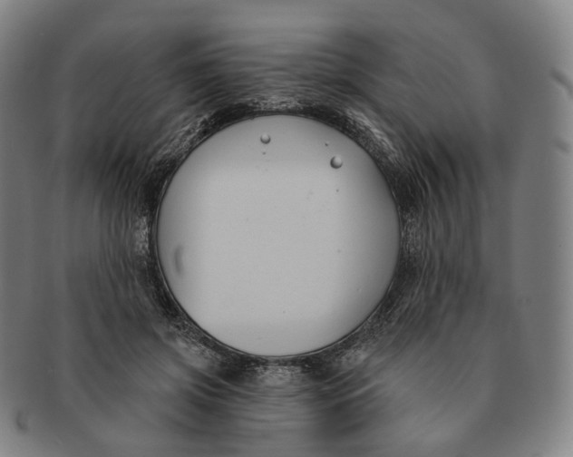 X0000091000549200708241452