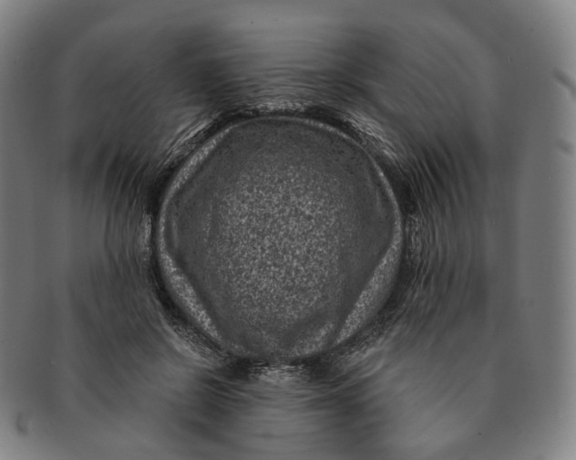 X0000091000550200708241452