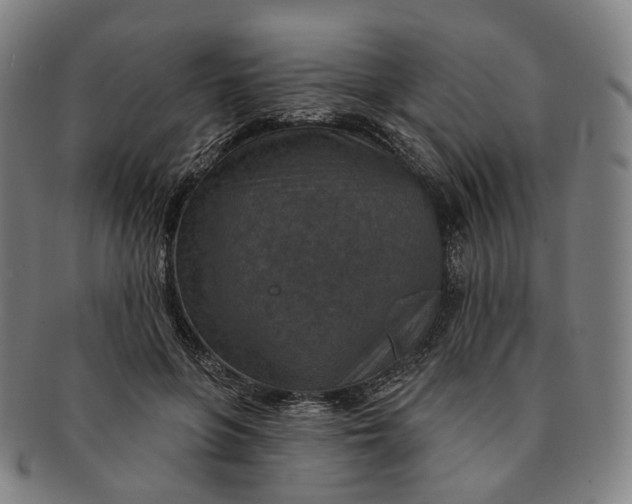 X0000091000551200708241452