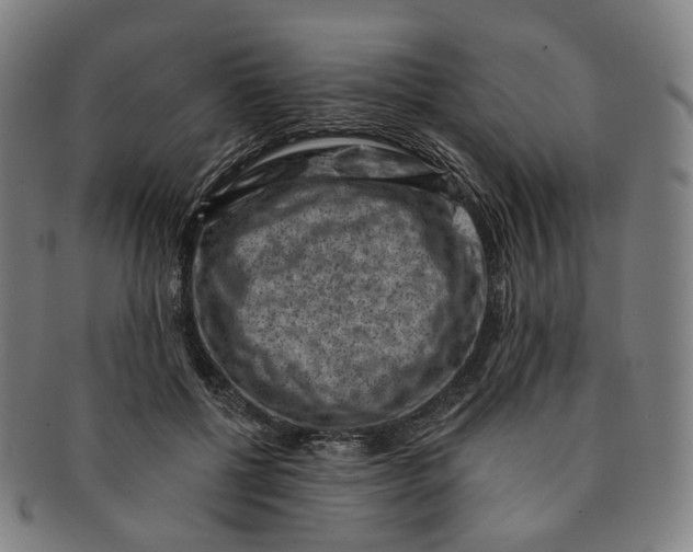 X0000091000552200708241452