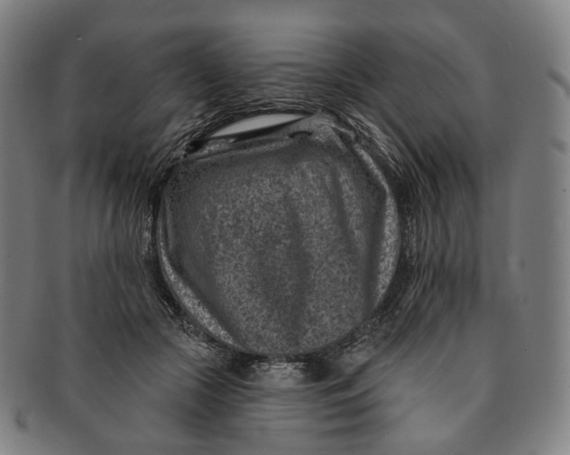 X0000091000553200708241452