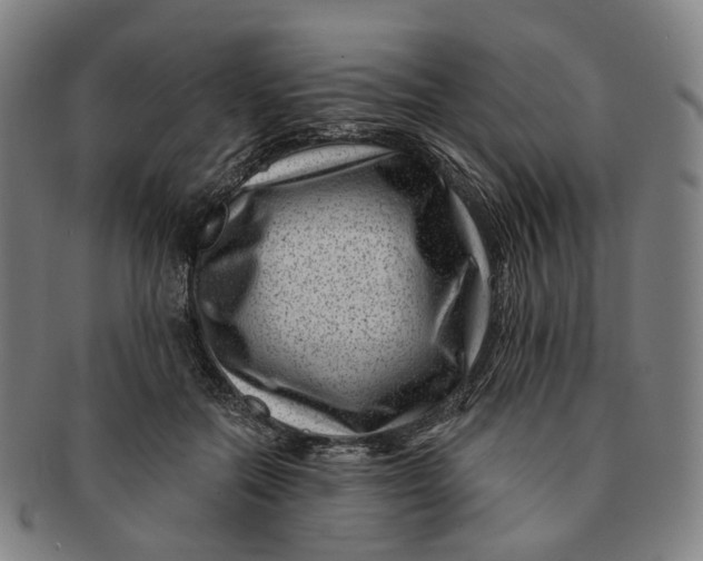 X0000091000554200708241452