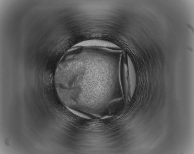 X0000091000555200708241452