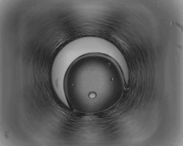 X0000091000556200708241452