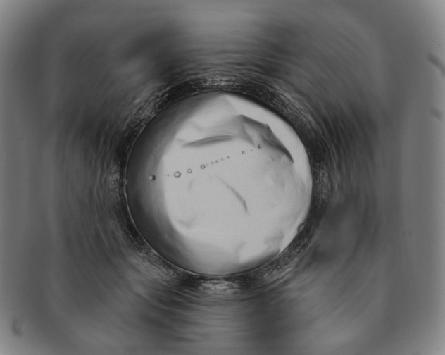 X0000091000557200708241452