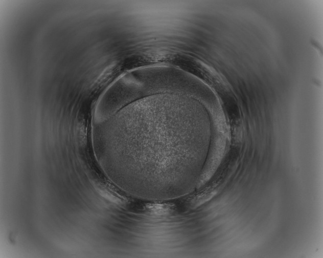 X0000091000558200708241452