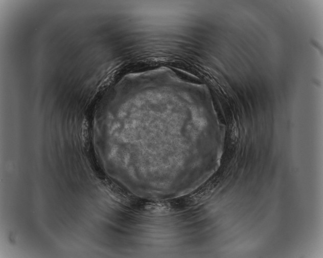 X0000091000559200708241452