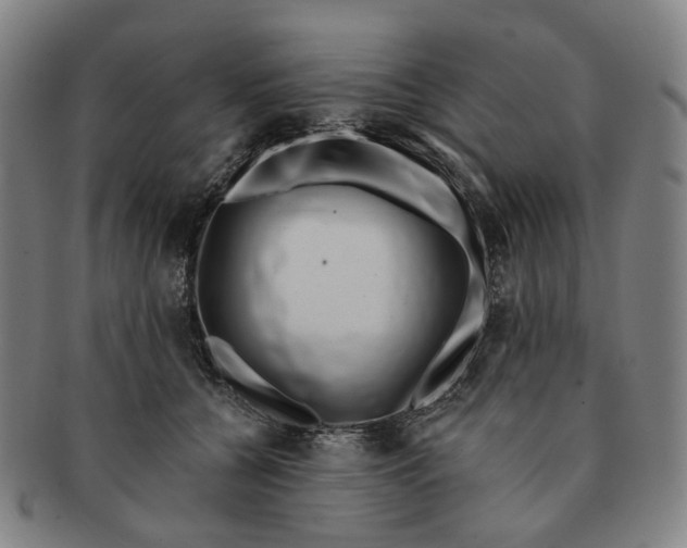 X0000091000560200708241452