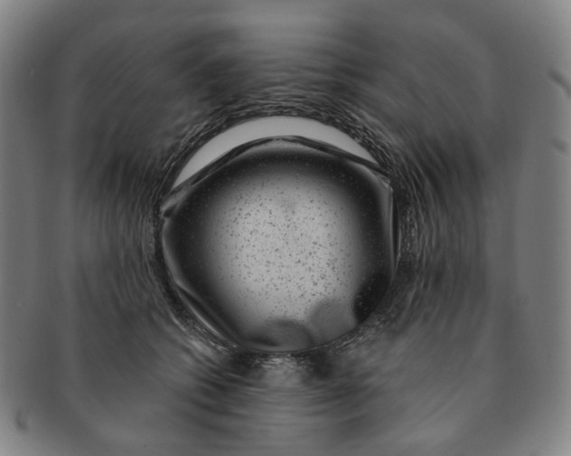 X0000091000562200708241452