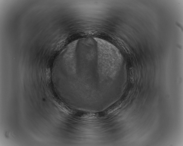 X0000091000563200708241452