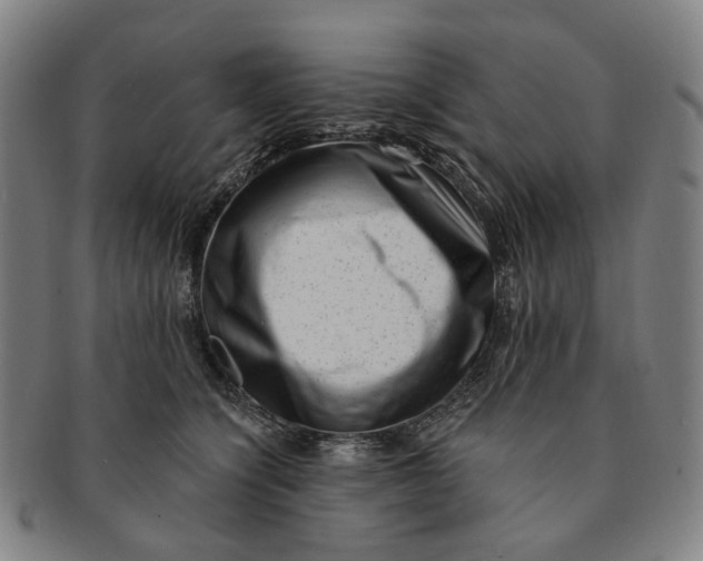 X0000091000564200708241452