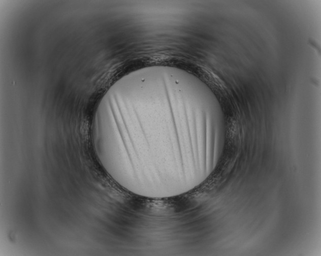 X0000091000565200708241452