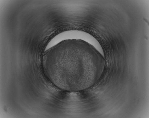 X0000091000566200708241452