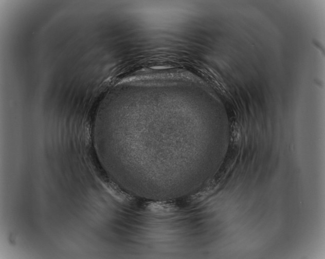 X0000091000568200708241452