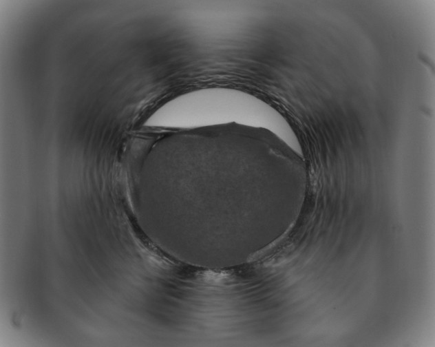 X0000091000570200708241452