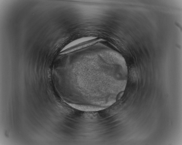 X0000091000571200708241452