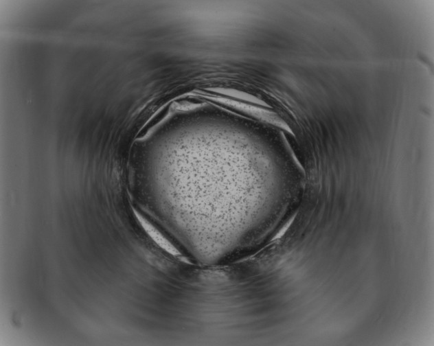 X0000091000572200708241452