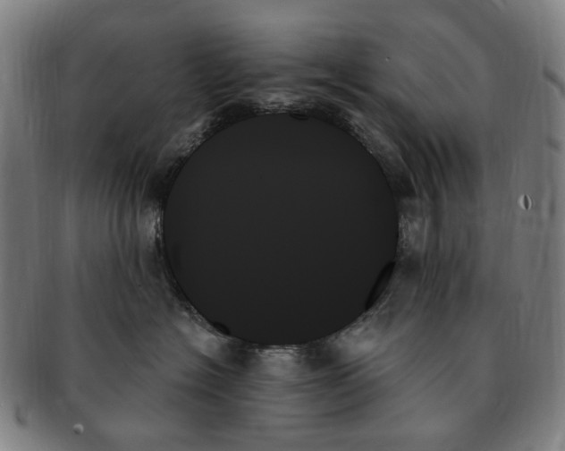 X0000091000574200708241452