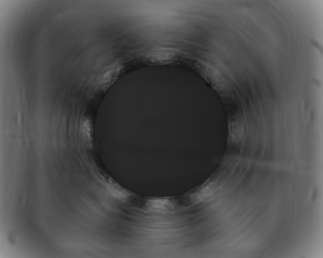 X0000091000575200708241452