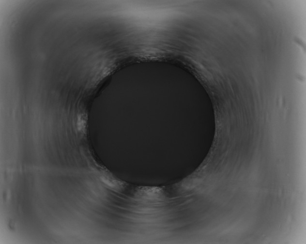 X0000091000576200708241452