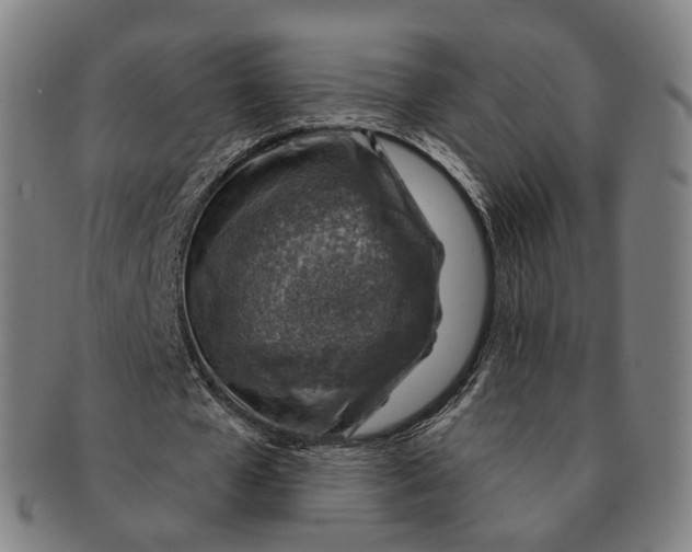 X0000091000577200708241452