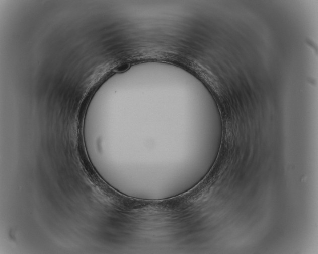 X0000091000578200708241452