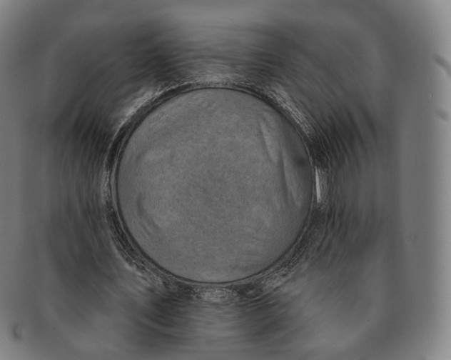 X0000091000579200708241452