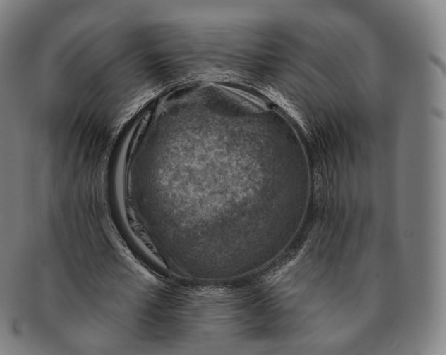 X0000091000581200708241452