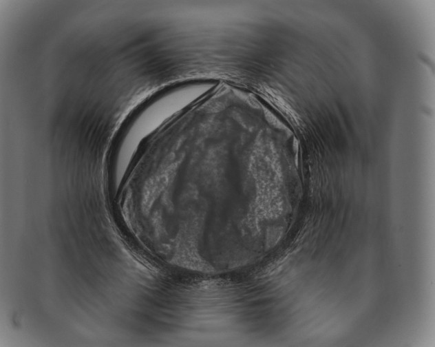 X0000091000584200708241452