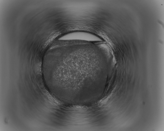 X0000091000585200708241452