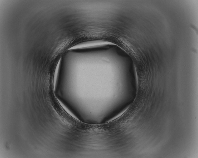 X0000091000586200708241452