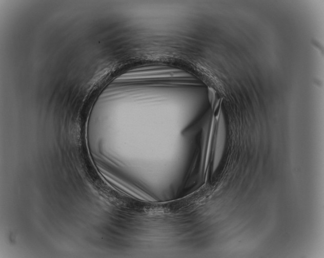 X0000091000587200708241452