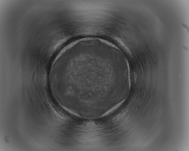 X0000091000588200708241452