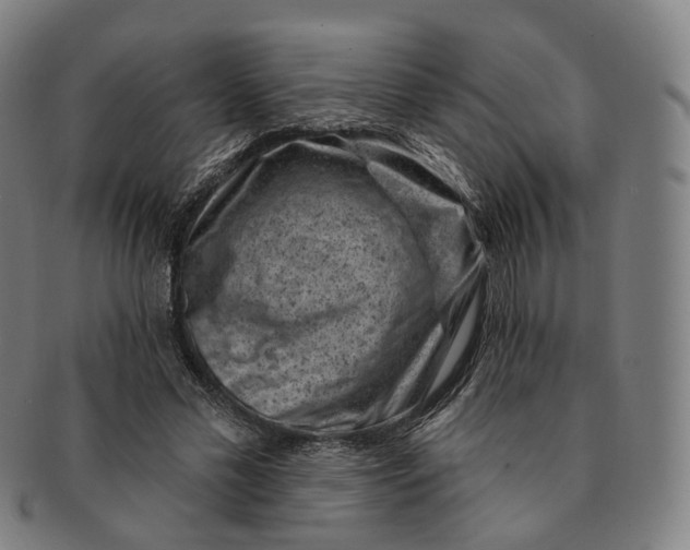 X0000091000589200708241451