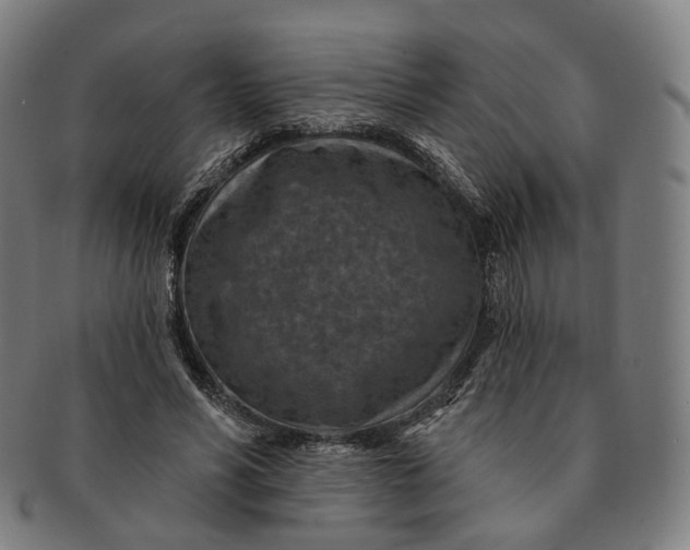 X0000091000590200708241451