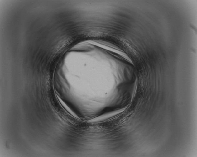 X0000091000591200708241451