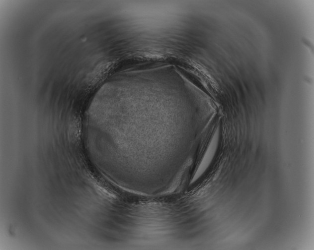 X0000091000593200708241451